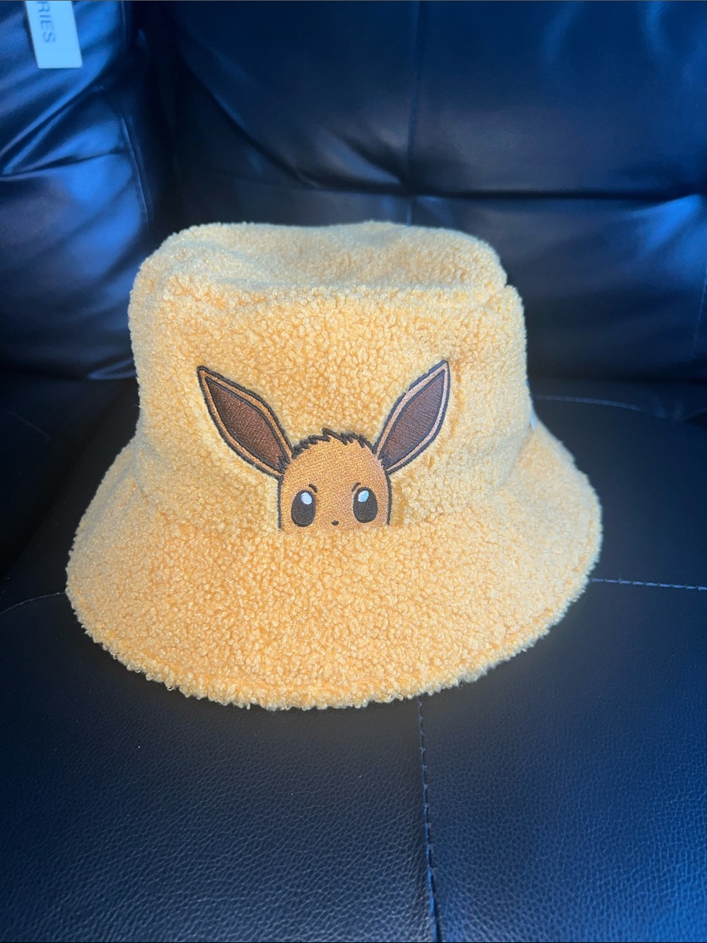 Pokémon Eevee bucket hat NWT
